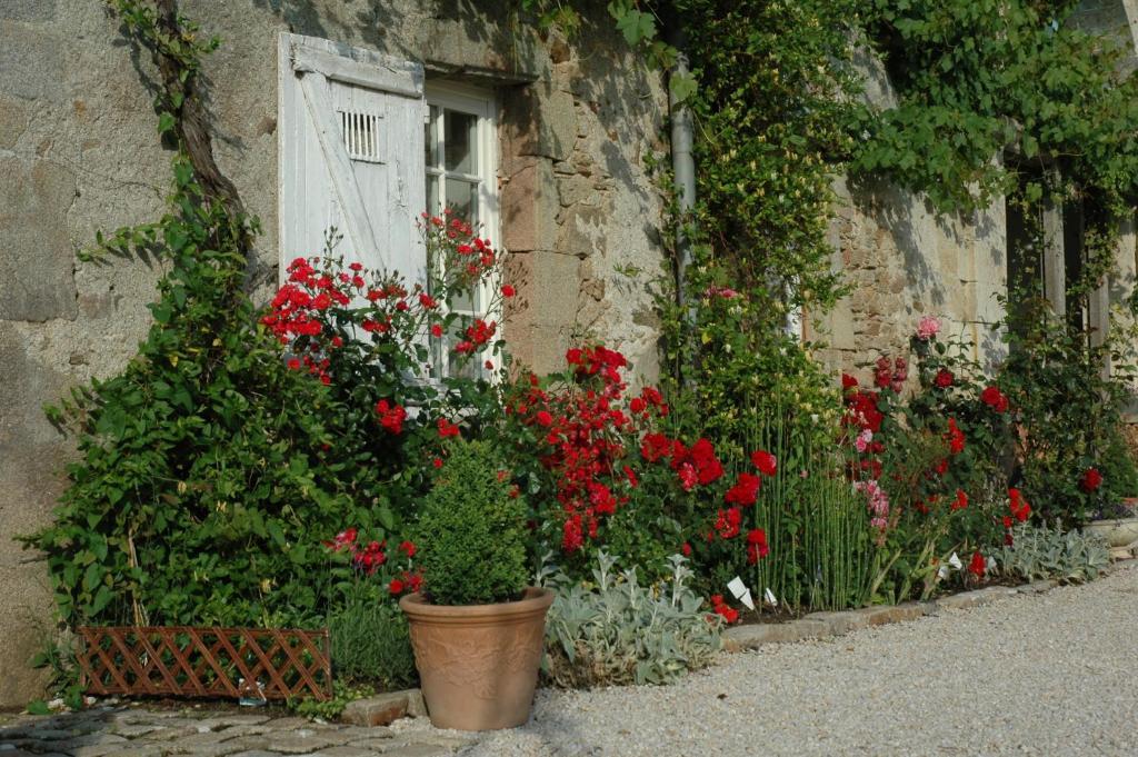 Chateau De L'Oiseliniere Bed & Breakfast Gorges  Екстериор снимка